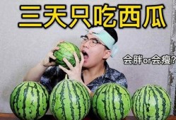 吃瓜减肥吧,轻松享“瘦”，美味不减