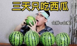 吃瓜减肥吧,轻松享“瘦”，美味不减