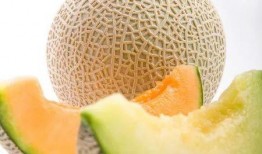 葵葵吃哈密瓜,葵葵的哈密瓜美食之旅