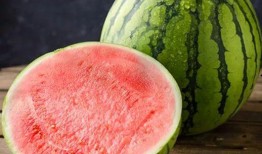 西瓜麒麟瓜怎么吃,西瓜与麒麟瓜的多样食法探索