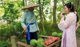 讨论吃瓜,揭秘网络吃瓜文化的魅力与争议