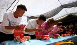 吃瓜争霸赛图片,一场视觉盛宴与味蕾挑战的巅峰对决