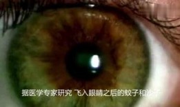 寄生虫吃瓜,瓜果的隐秘威胁