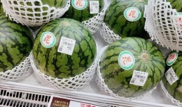 吃瓜神仙比赛,吃瓜神仙比赛精彩回顾