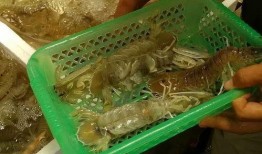 海口翻墙吃瓜,一窥网络另一面的“吃瓜”世界