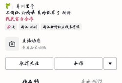 吃瓜网红看戏,揭秘娱乐圈幕后大戏