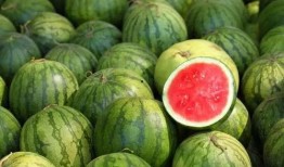 老外吃的绿色长瓜有哪些,探索老外餐桌上的绿色长瓜美味