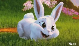 野餐兔吃瓜群,欢乐互动，共享夏日清凉时光