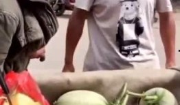 无不良引导吃瓜,吃瓜群众如何理智追剧