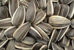 孕期吃洋瓜的好处,营养满分，母婴健康双丰收