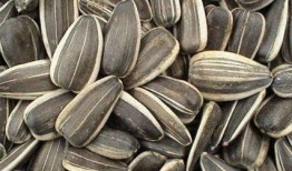 孕期吃洋瓜的好处,营养满分，母婴健康双丰收