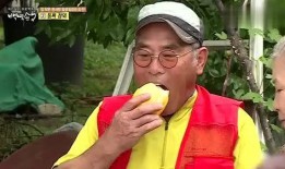 吃瓜表情包香瓜,吃瓜群众的欢乐源泉