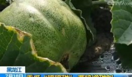 医院里的吃瓜趣事