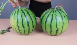 吃瓜不甜的小说,吃瓜不甜背后的惊悚真相