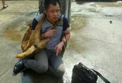 偷狗贼吃瓜视频