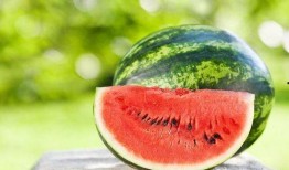 吃瓜超,网络红人的崛起与影响力