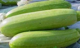 最近爆火吃瓜事件,揭秘近期爆火吃瓜事件背后的真相