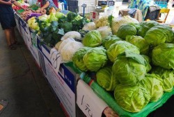 临沧吃瓜大妈,揭秘当地独特美食文化