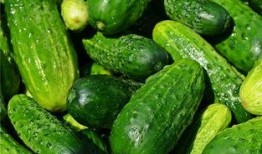 梦见吃瓜米,揭秘吃瓜米的神秘寓意