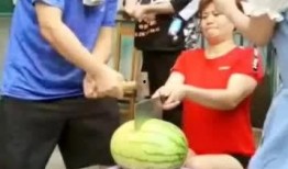 全家坐着吃瓜,共享瓜香时光