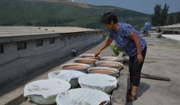 临沧吃瓜大妈,揭秘当地独特美食文化