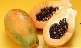 吃瓜丰胸吗,吃瓜真的能丰胸吗？