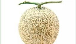 无实物吃瓜,无实物吃瓜的奇幻之旅