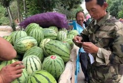 湾湾爆笑吃瓜,笑料横生的娱乐圈幕后故事大揭秘