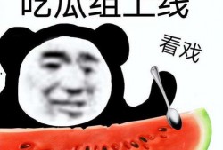 吃瓜兔已有闺蜜,欢乐时光里的甜蜜陪伴