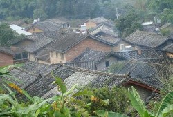 景谷县民乐镇吃瓜,瓜果飘香，共享丰收喜悦