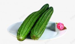 创意吃瓜图片图文素材,趣味图文素材大盘点