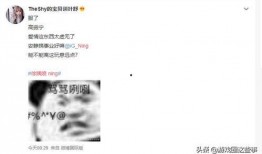 英雄联盟小说吃瓜