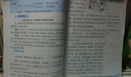 吃瓜情景短文,吃瓜群众视角下的娱乐圈风云