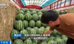苏虞吃瓜