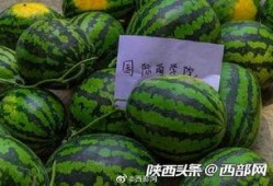 吃瓜学子,揭秘校园里的热点事件与幕后真相