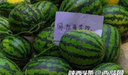 吃瓜学子,揭秘校园里的热点事件与幕后真相