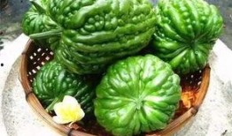 带你吃瓜徽州宴,带你吃瓜，品味千年徽州美食文化