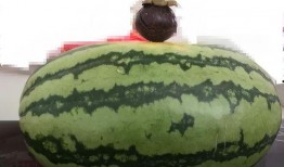 陪大家吃瓜,揭秘娱乐圈那些不为人知的幕后故事