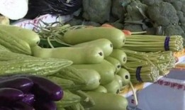 梦见别人吃瓜中毒