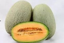 吃瓜不甜的小说,吃瓜不甜背后的惊悚真相