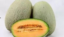 吃瓜不甜的小说,吃瓜不甜背后的惊悚真相