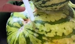 搞笑吃瓜视频搞笑