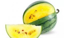 吃瓜好蠢,网络热词背后的文化现象