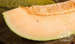 哈密瓜长瓜儿童可以吃吗,哈密瓜长瓜儿童适宜食用指南