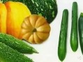 吃瓜三指