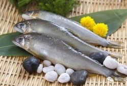 吃瓜不吐鱼,揭秘娱乐圈的幕后真相