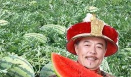 讨论吃瓜,揭秘网络吃瓜文化的魅力与争议