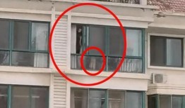 吃瓜顶楼,一场网络狂欢背后的真相