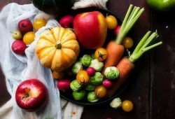 春吃芽夏吃秋吃瓜冬吃根