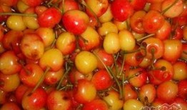 樱桃吃瓜事件,网络舆论的风暴与反思